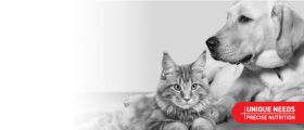 Royal Canin