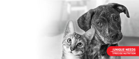 Royal Canin