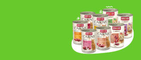 Carny izdevīgi