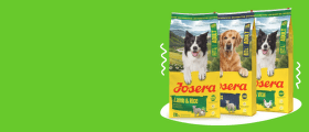 Josera suņu barība