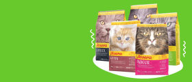 Josera корм для кошек