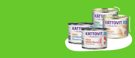 Kattovit консервы