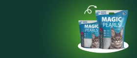 Magic Peal