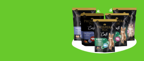 Prospera Plus