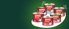 Rinti konservi suņiem