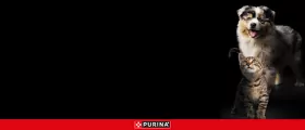 Purina Pro Plan