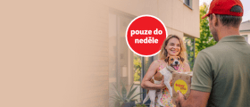 Týden dopravy zdarma