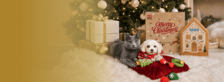 Adventní kalendáře