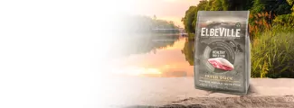 Holistyczna karma