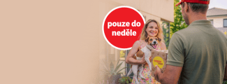 Doprava zdarma