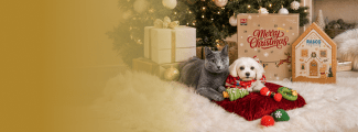 Adventní kalendáře