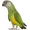 Klece pro střední papoušky