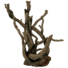 Kořeny do akvária