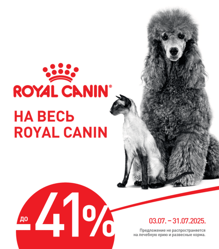 TODO název kampaně