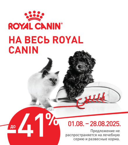 TODO název kampaně