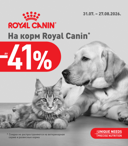 TODO název kampaně