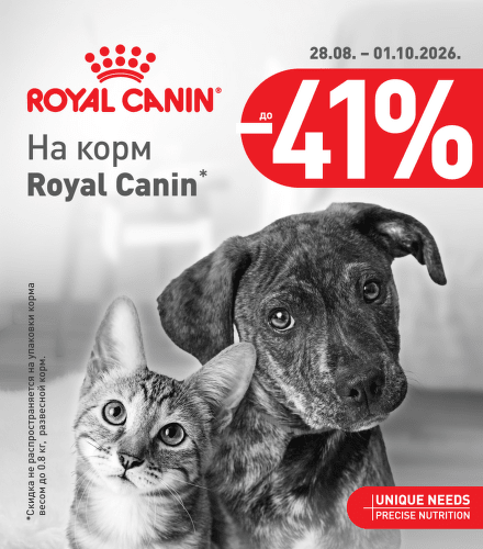 TODO název kampaně