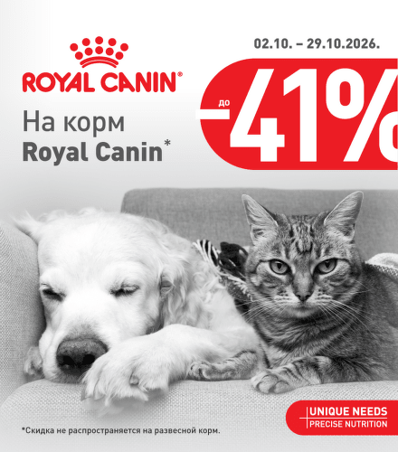 TODO název kampaně