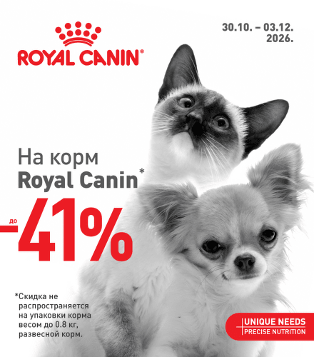 TODO název kampaně