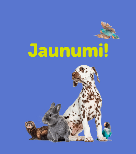 TODO název kampaně