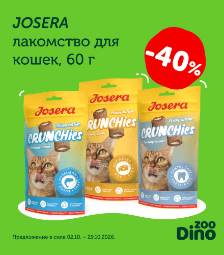 TODO název kampaně
