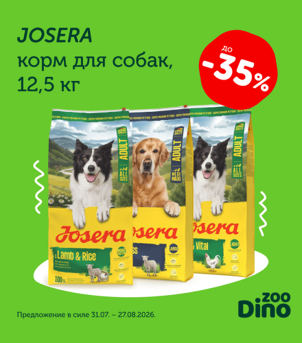 TODO název kampaně