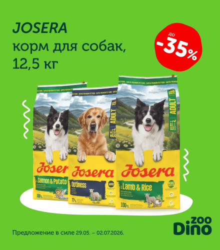 TODO název kampaně