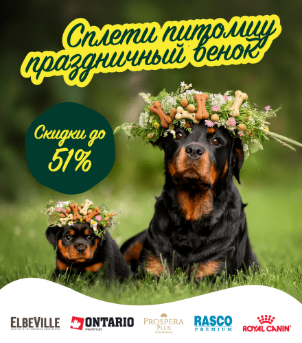 TODO název kampaně