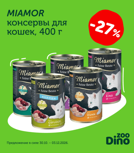 TODO název kampaně