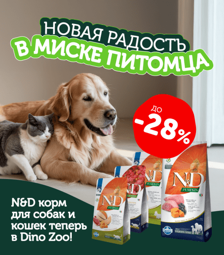 TODO název kampaně