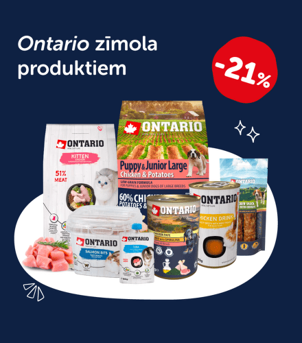 TODO název kampaně