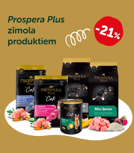 TODO název kampaně