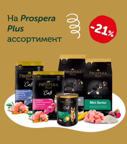 TODO název kampaně