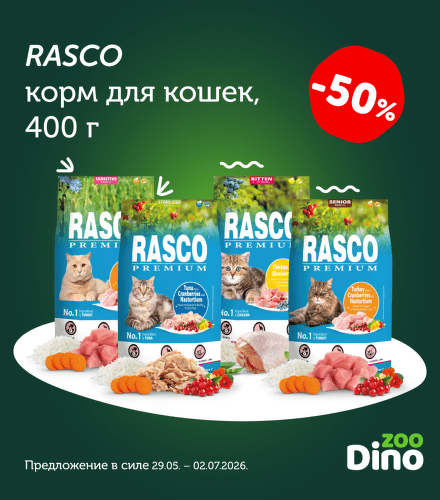 TODO název kampaně