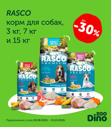 TODO název kampaně