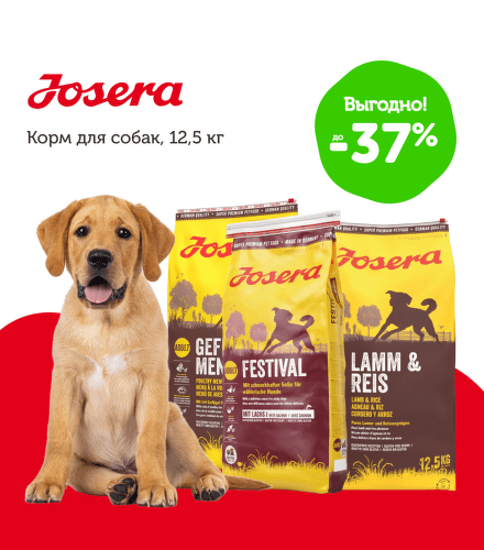TODO název kampaně