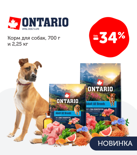 TODO název kampaně