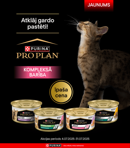 TODO název kampaně