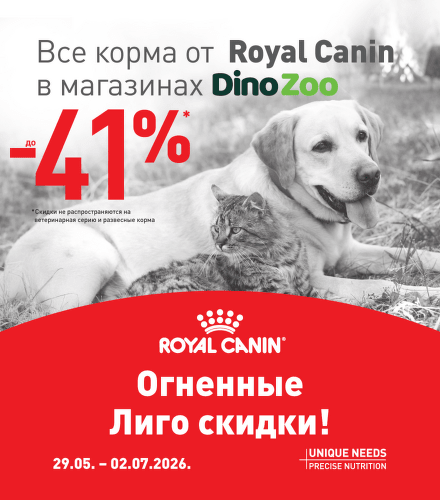 TODO název kampaně