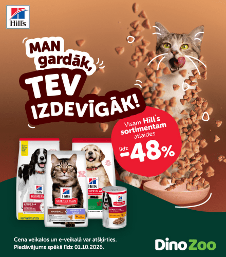 TODO název kampaně
