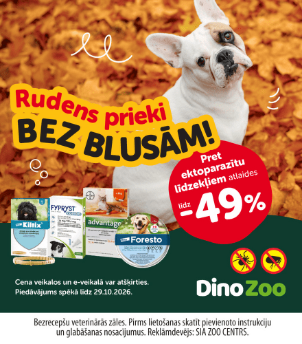 TODO název kampaně