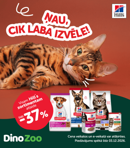 TODO název kampaně