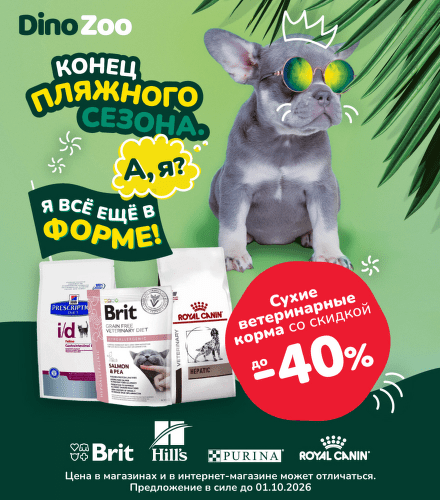 TODO název kampaně