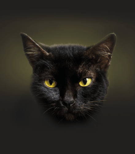 TODO název kampaně