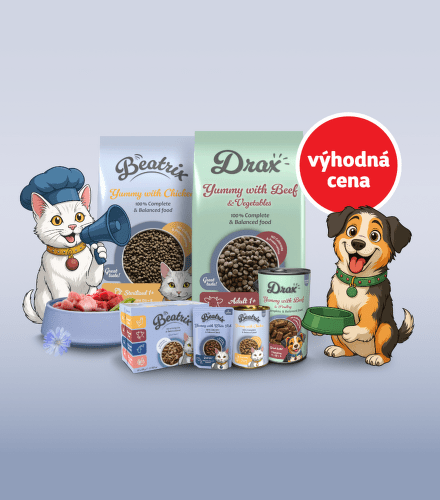 TODO název kampaně