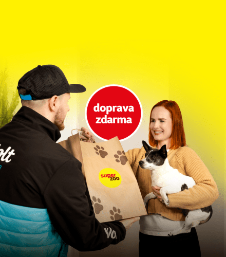 TODO název kampaně