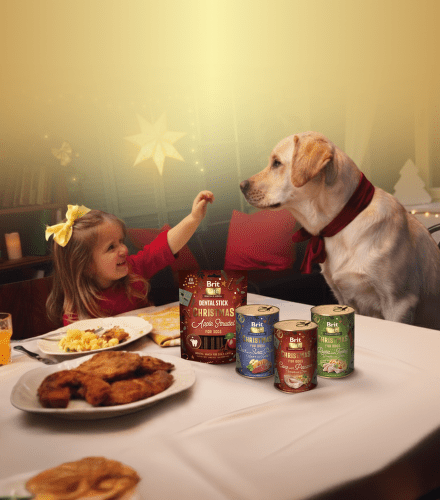 TODO název kampaně