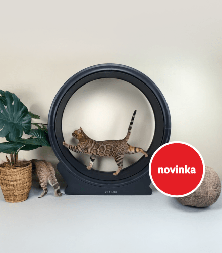 TODO název kampaně