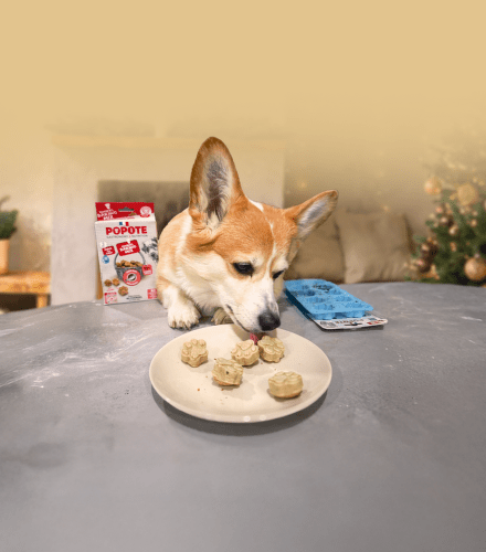 TODO název kampaně