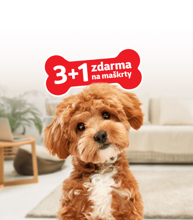TODO název kampaně